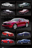Ford Shelby - Mustang Evolution Poster