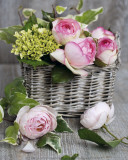 Rosas Arte por Catherine Beyler