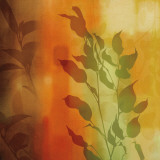 Nature's Glow I Posters par Chris Donovan