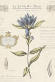 Le Jardin des Fleurs III Posters by Maria Mendez