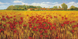 Campo de amapolas Lámina por Andrea Del Missier