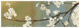 Kimono II Prints by Asia Jensen