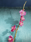 Cherry Tree Branch Posters by Amélie Vuillon