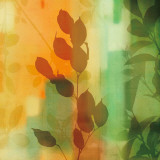 Nature's Glow II Affiches par Chris Donovan