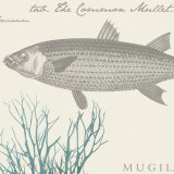 Sea and Shore V Posters by Maria Mendez