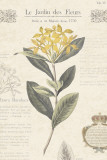 Le Jardin des Fleurs I Posters by Maria Mendez