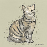 Kitty Tales I Posters by Clare Ormerod