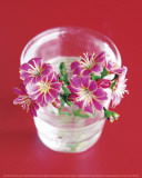Pink Flowers On Red Print by Amélie Vuillon