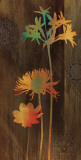 Companions II Affiches par Chris Donovan