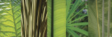Eco Compostion II Posters by Tony Koukos