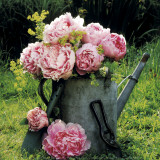 Watering Can And Peonies Prints by James Guilliam