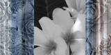 Exotica Frangipani Poster by Tony Koukos