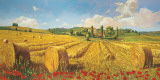 Campagna Toscana Prints by Andrea Del Missier