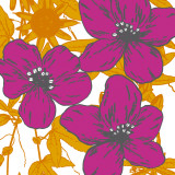 Flower Garden II Prints by Sasha Blake