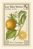 French Stamp II Prints by Maria Mendez