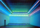 Nouvelles utilisations pour une lumière fluorescente avec des diagrammes Collectable Print par Dan Flavin