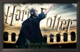 Harry Potter and the Deathly Hallows: Part II - Lord Voldemort Posters