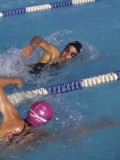 Female Swimmers Competing in a Freestyle Race Photographic Print