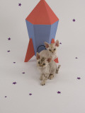 Devon Rex Impressão fotográfica Devon Rex Impressão fotográfica