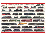 Steam Locomotives Premium Giclee Print