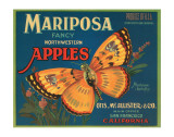 Mariposa Fancy Northwestern Apples Giclee Print