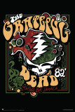 Grateful Dead Rasta Afiche