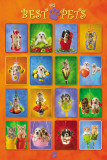 My Best Pets - Collage Photographie