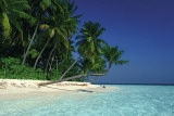 Ile tropicale Posters