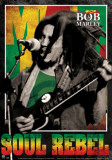 Bob Marley - Soul Rebel Poster
