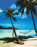 Tropical Beach Posters