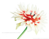 Bloom - Honey Masterprint