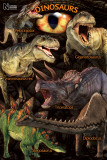 Natural History Museum - Dinosaurs Affiches