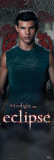 Twilight - Eclipse (Jacob) Fotografie
