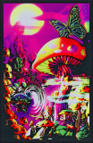 Magic Valley Prints