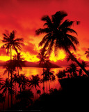 Sunset - In Fiji Print