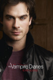 Vampire Diaries - Damon Salvatore Láminas