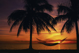 Hammock Sunset Affiches
