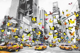 Manhattan - Butterfly Billeder