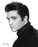 Elvis Presley - Portrait Poster