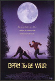 Born to be Wild Photo