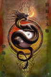 Anne Stokes : Le Dragon,  protection du Yin et du Yang Affiches