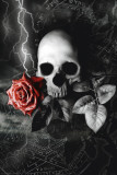 Skull Rose Pósters Skull Rose Pósters