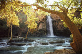 Waterfall on Havasu Creek Poster