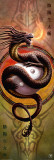 Anne Stokes - Yin Yang Protector Affiches