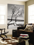 Trees in the Snow Reproduction murale géante par Alfred Eisenstaedt