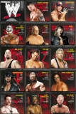WWE - Stats Posters