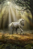 Anne Stokes - Glimpse Of A Unicorn Plakater