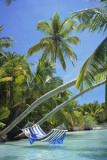 Hammock - Tropical Beach Kunstdrucke