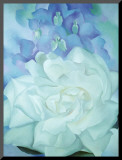 White Rose with Larkspur Mounted Print by Georgia O'Keeffe