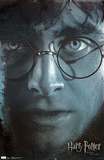 Harry Potter and the Deathly Hallows Part II - Harry Posters